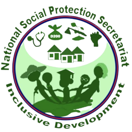 NSPS LOGO